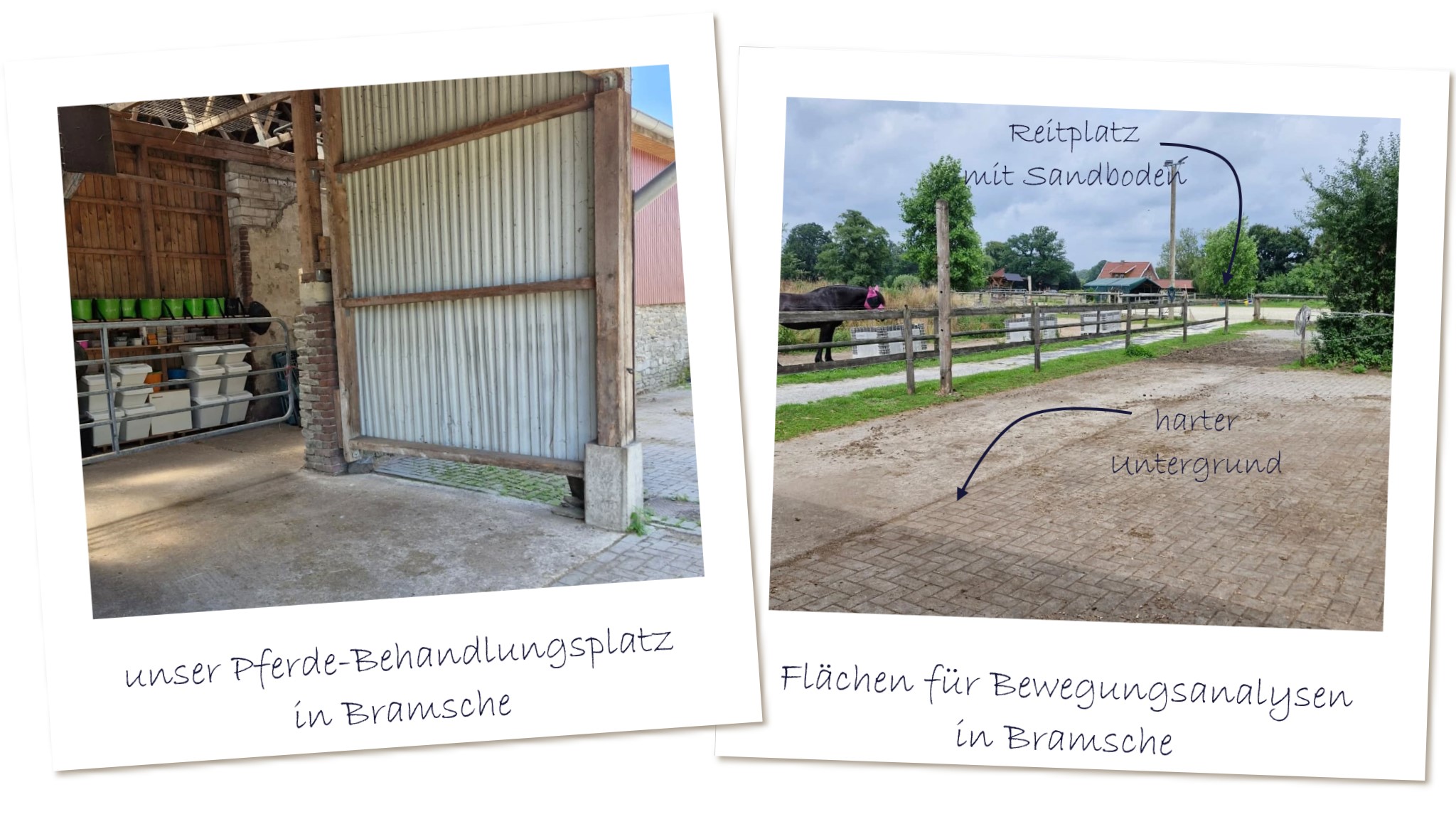 Tierheilpraktiker-bramsche